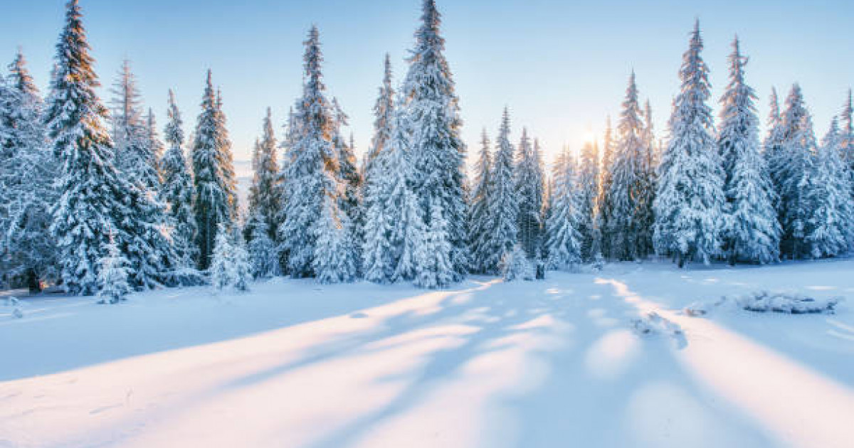 Синоптиктер бүгін тұман, көктайғақ күтіледі деген болжам жасады