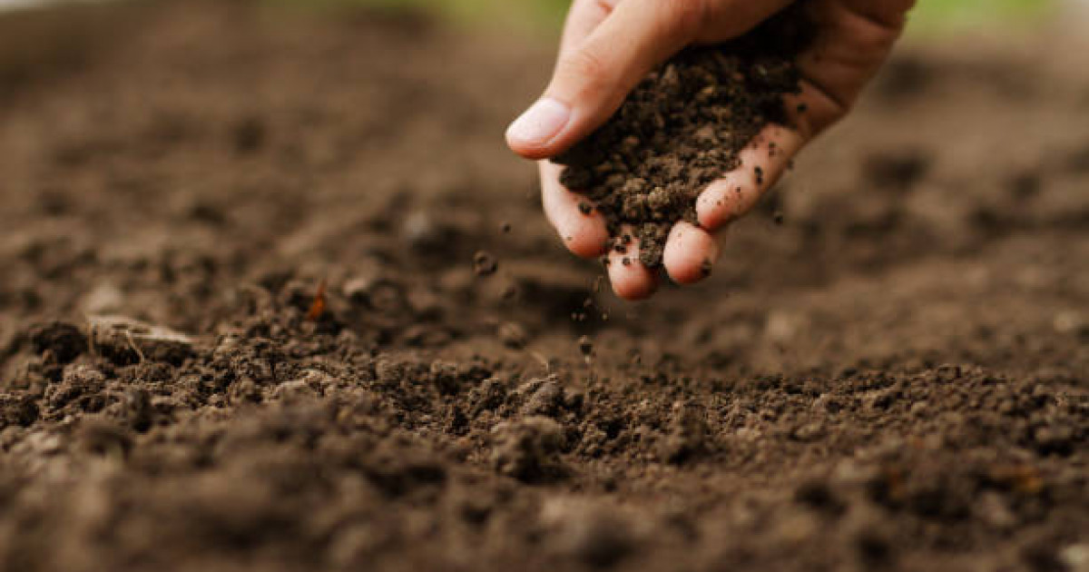 Жерді жалға алу тәртібі өзгерді: енді кімдерге беріледі?