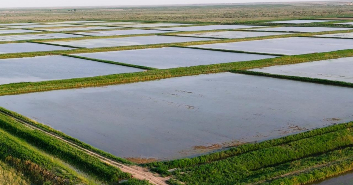 Қазақстан су қоймаларында тасқын суды қабылдауға арналған бос сыйымдылық 14,3 миллиард текше метрді құрайды