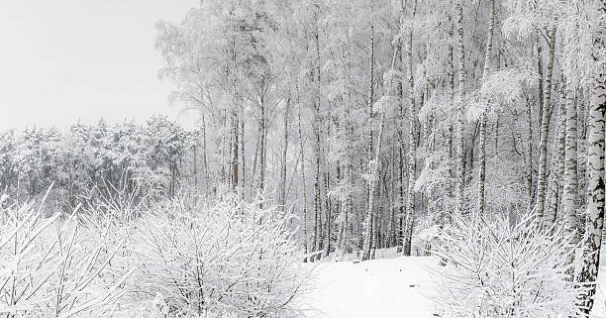Қазақстанда алдағы күндері ауа райы құбылмалы болады