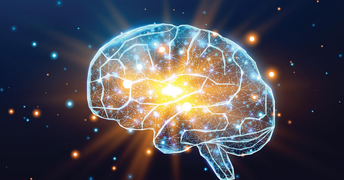 Мидың дамуы 25 емес, 30 жасқа дейін жалғасуы мүмкін