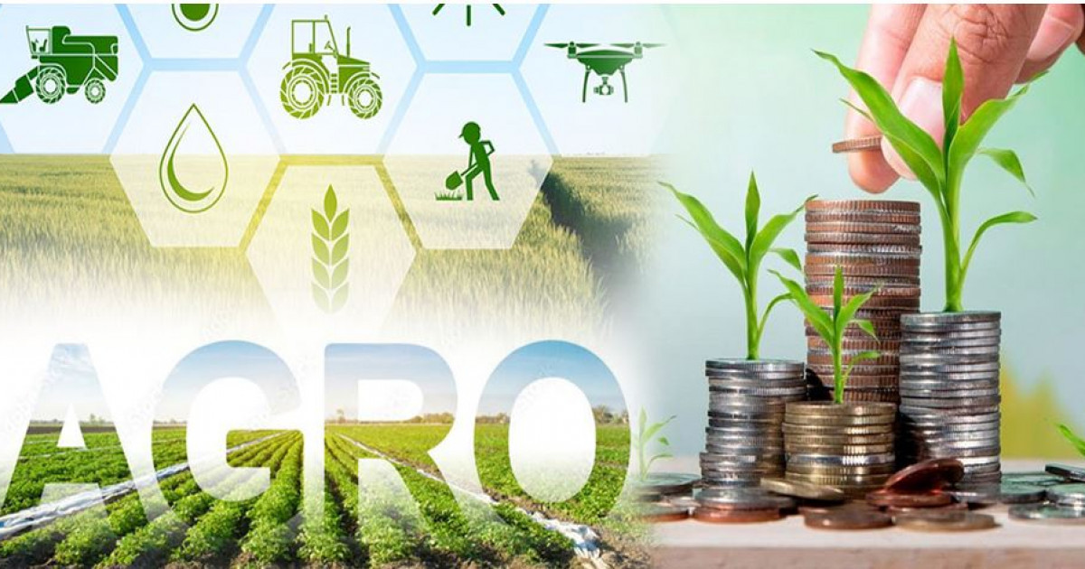 Субсидиядағы секем