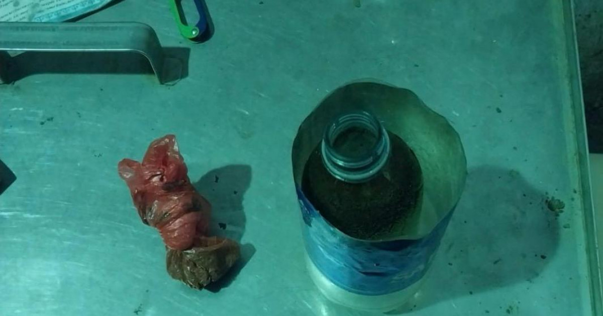 Ұландықтар тыйым салынған заттарды өткізу әрекетінің жолын кесті