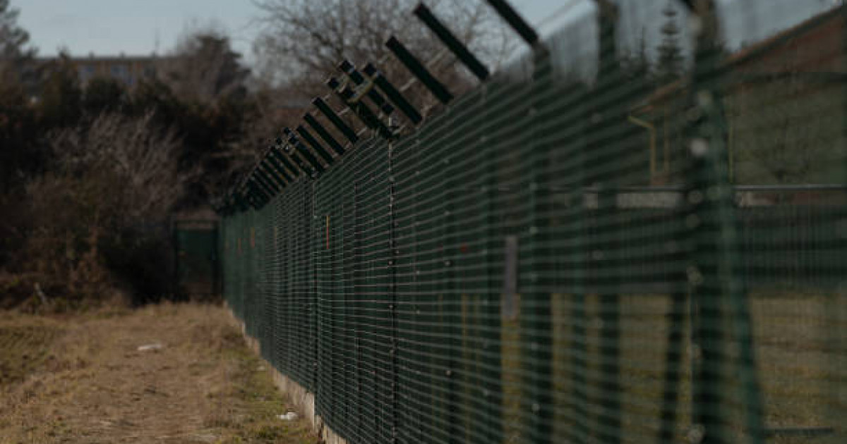 «Жағын темірмен ұрып сындырған»: Жамбыл облысында әскерге барған сарбазды соққыға жықты