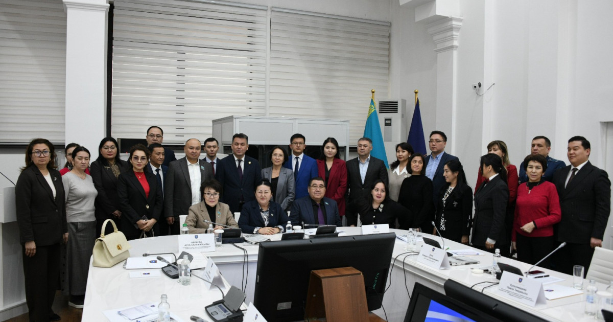 Жаңа Конституция жобасын халықаралық тәжірибені ескере отырып әзірледі