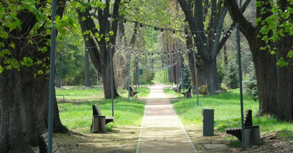 Алматыда 2030 жылға дейін дендрологиялық жоспар әзірленеді