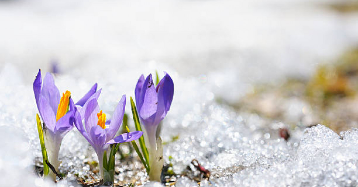 Қазақстан бойынша  5-7 наурызға арналған ауа райы болжамы