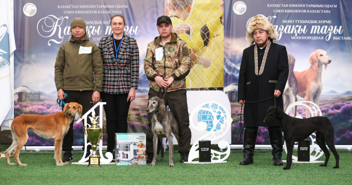 Қазақы тазыға арналған кинологиялық іс-шаралар маусымы ашылды