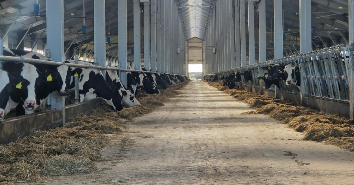 Мал шаруашылығын 6% мөлшерлемемен жеңілдетілген несиелеу іске қосылды