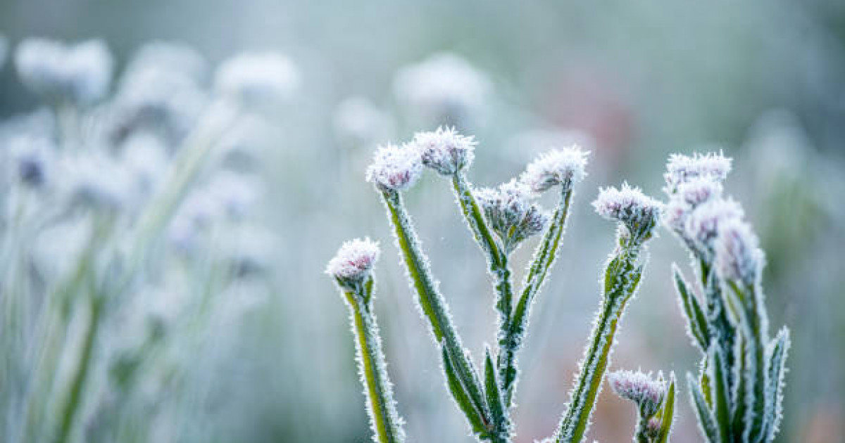 Республика бойынша тұман болуы ықтимал - Қазгидромет