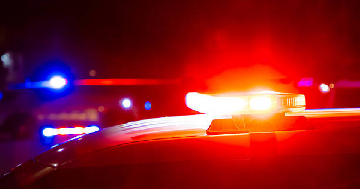 Шығыс Қазақстан облысында заңсыз еңбек еткен шетелдіктер ұсталды