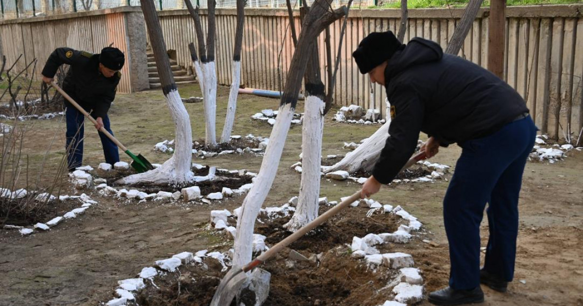 Әскери қызметшілер көшет отырғызды