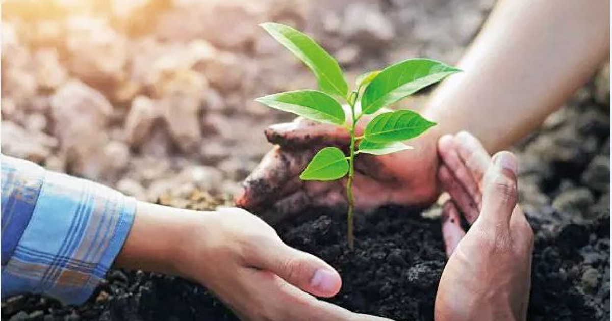 Жаңару тазалыққа бастаған толғаныс