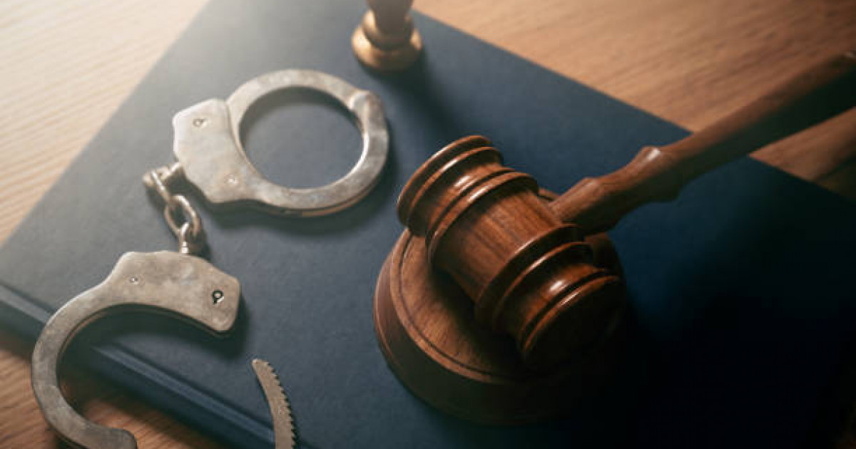 Аса ірі мөлшерде ұрлық жасағаны үшін күдікті Грузиядан экстрадицияланды