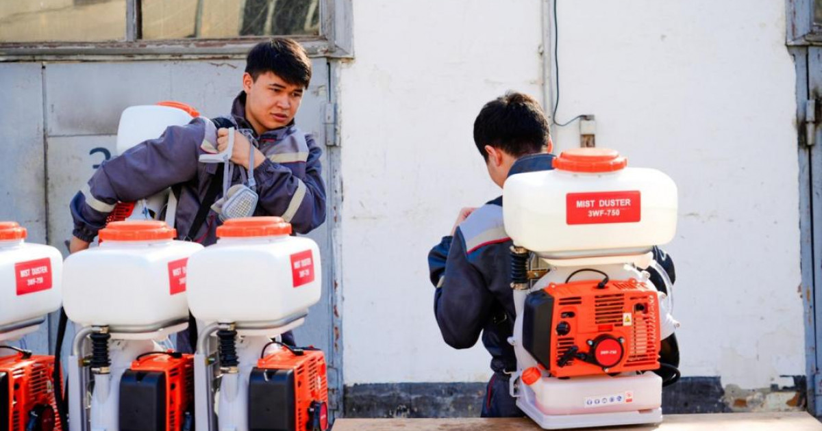 Астанада маса мен шіркейге қарсы дезинсекция маусымы басталады