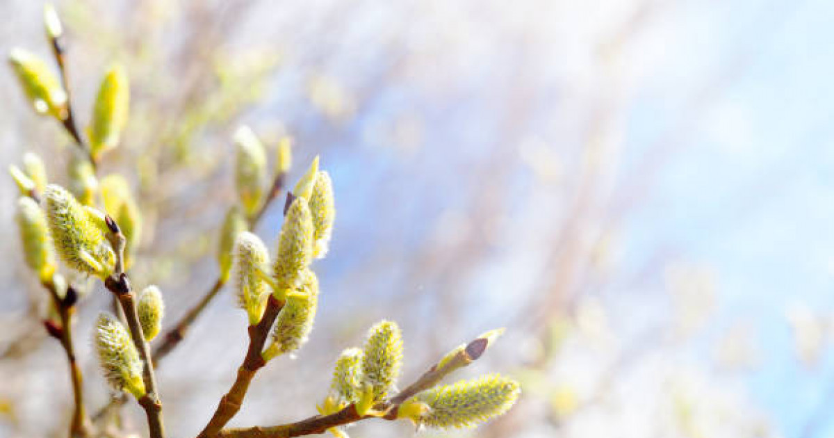 Бүгінгі күнге арналған ауа райы болжамы жасалды