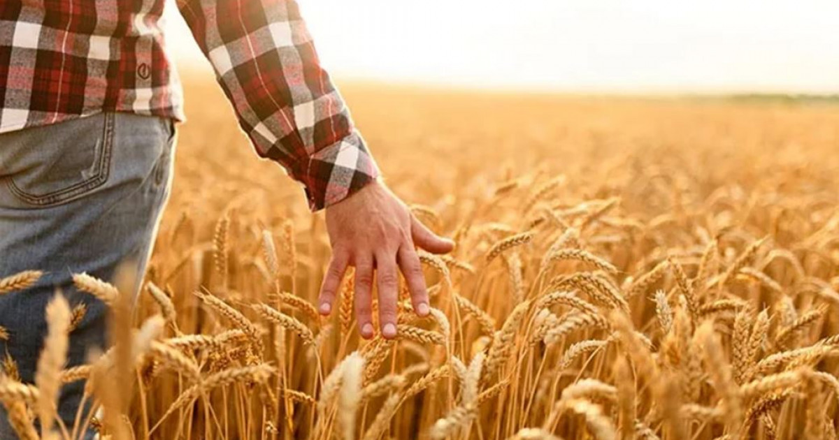 Дала дидары: әлеует пен әрекет қабысса, ауыл түлейді