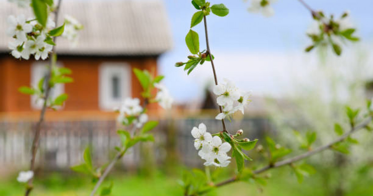 Дауыл туралы ескерту - Қазгидромет