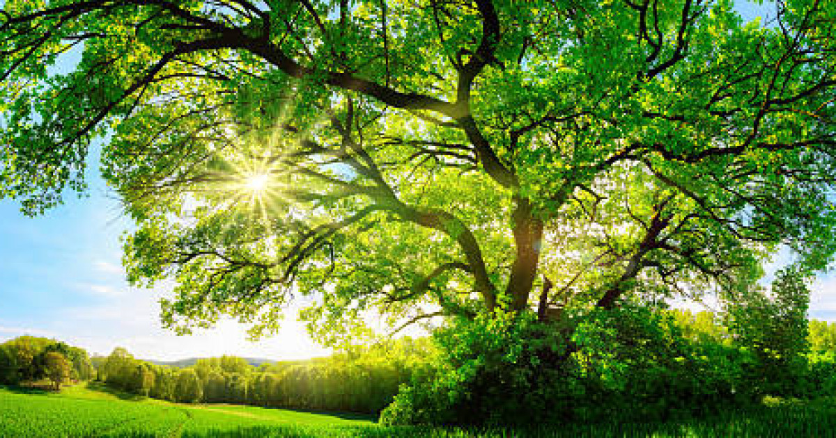 Қазақстан Climatescope таза энергетикаға инвестиция әлемдік рейтингіндегі позициясын жақсартты