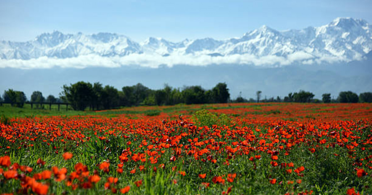 Мамыр айындағы мерекелерде қайда баруға болады?