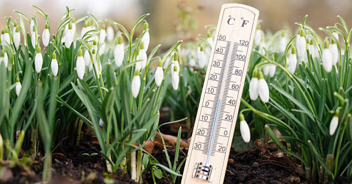 Синоптиктерден бүгінгі күнге ауа райы болжамы