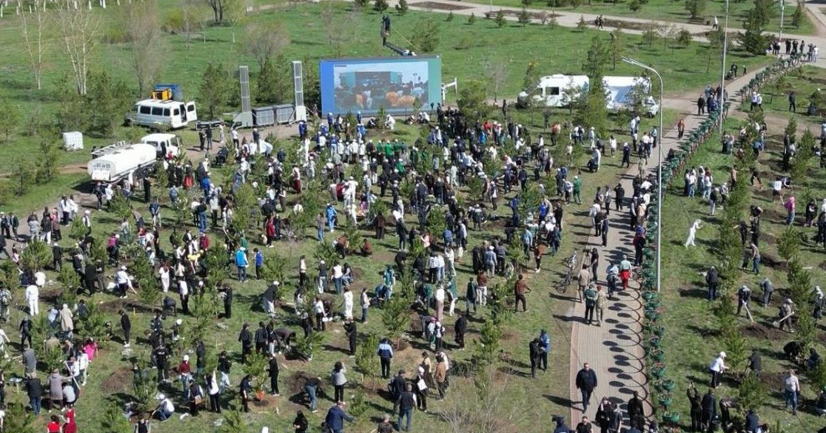 «Таза Қазақстан»: Қарағандылықтар ағаш егу сенбілігін белсенді түрде қолдады