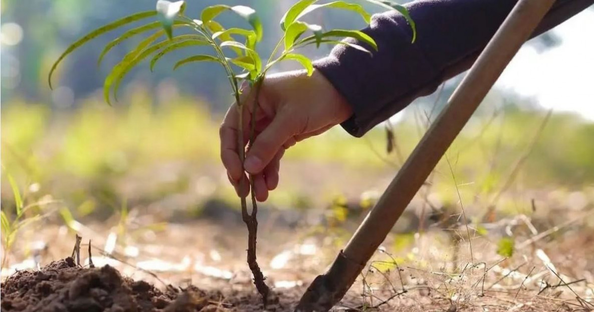 «Таза Қазақстан» – тартымды болашақ